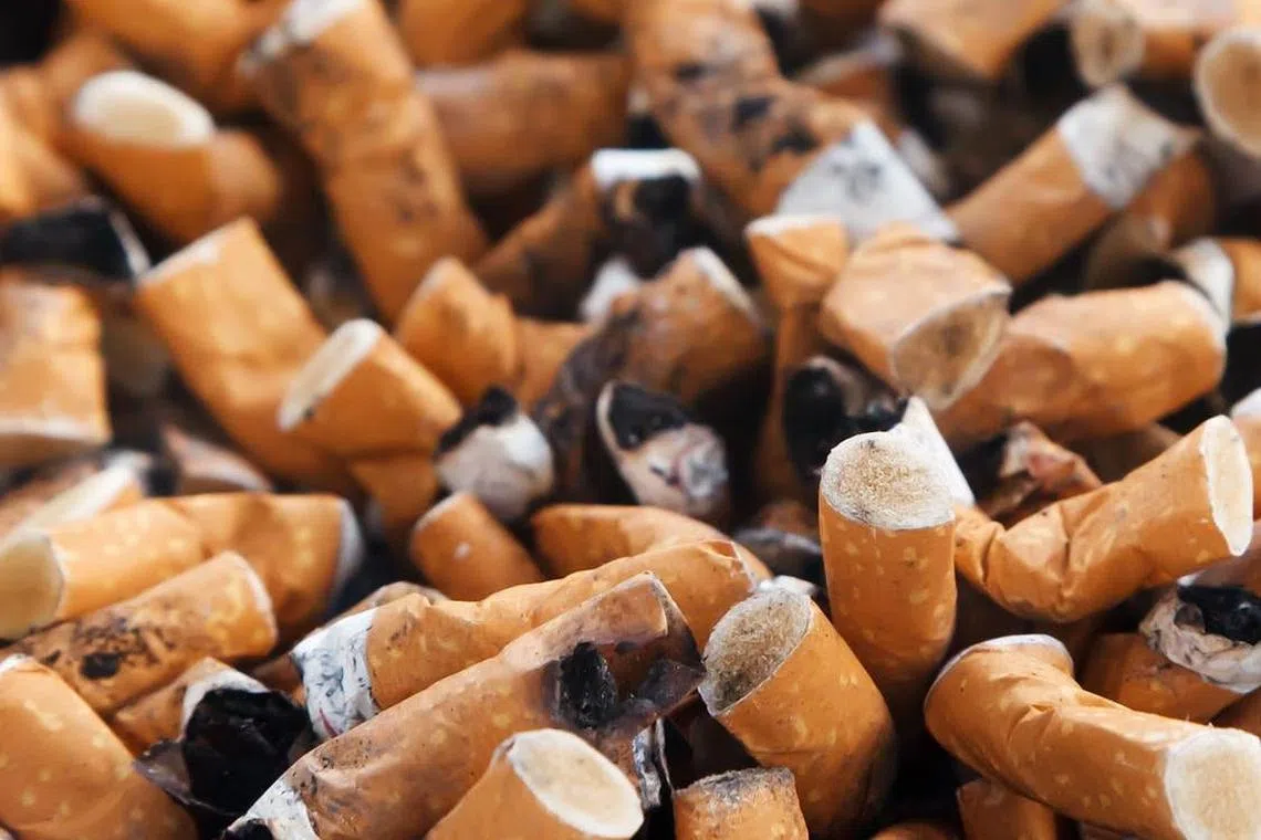 7 ways to get rid of unpleasant smells at home - Home & Decor Singapore ...