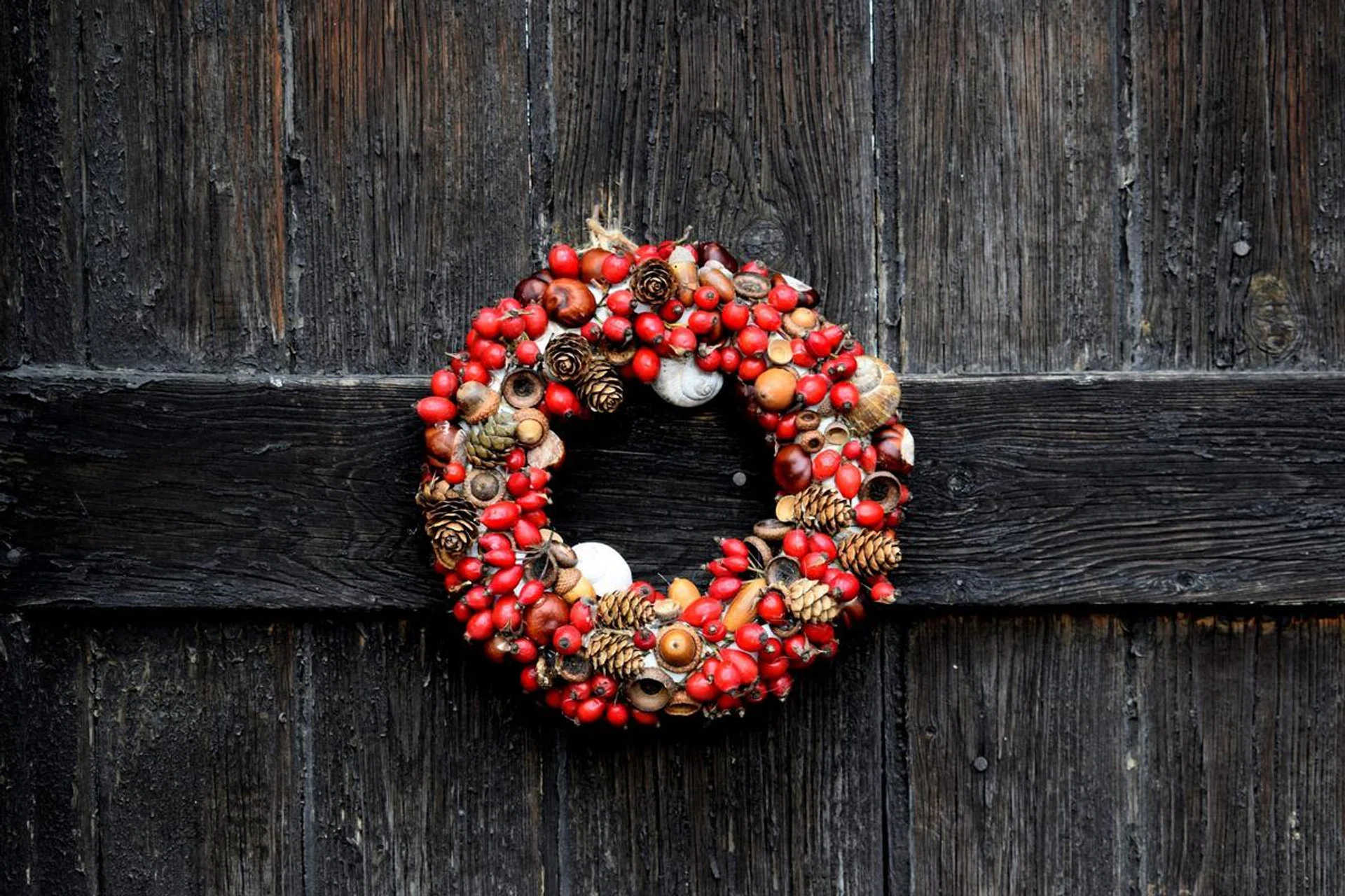 Christmas Wreath Workshop: 4 Steps to DIY your own Christmas Wreath