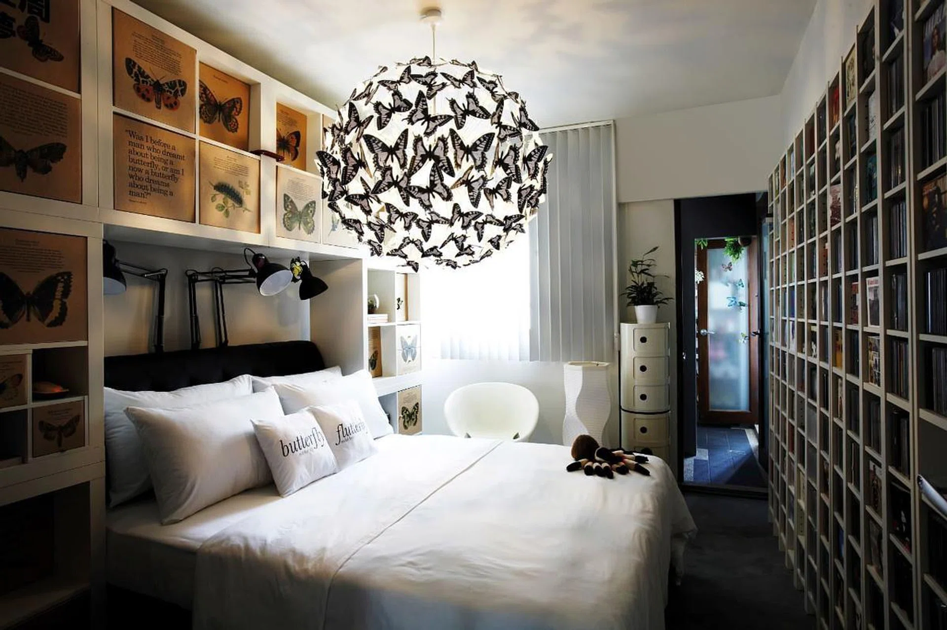 83592-butterfly_amphibios_10