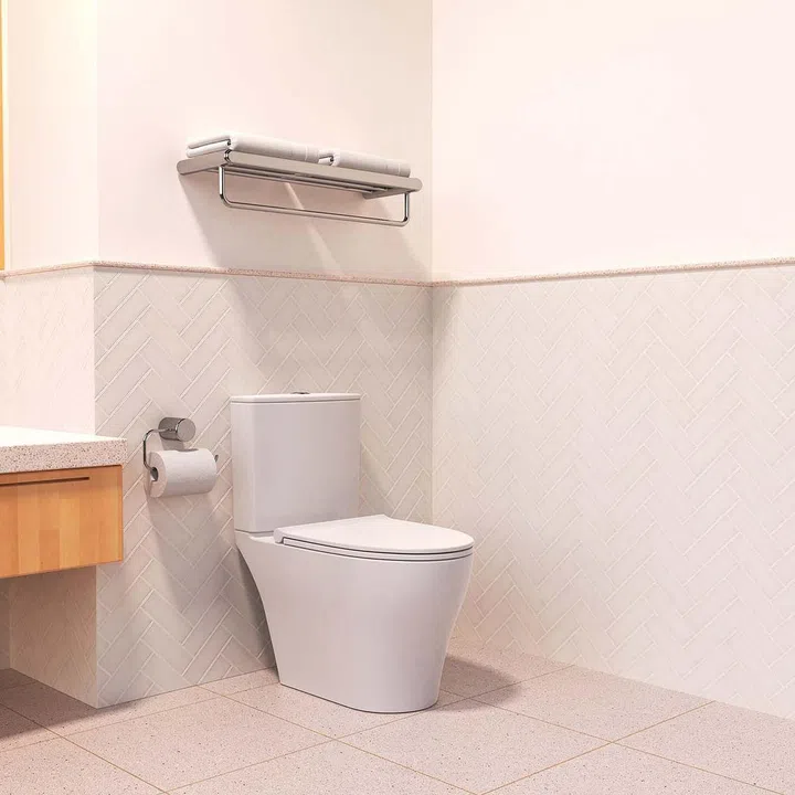 Rigel Singapore Review: Zen toilet bowl, water-saving shower set | Home ...