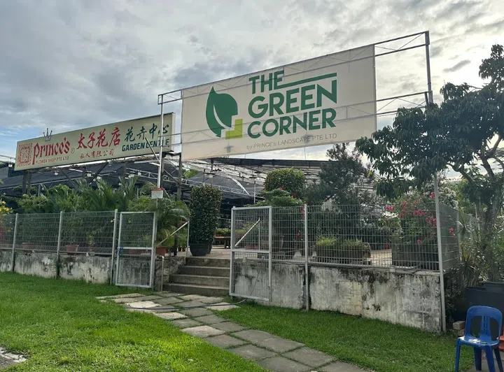The Green Corner Prince’s Landscape street view.