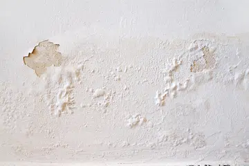 Rain water leaks on the wall causing damage and peeling paint.