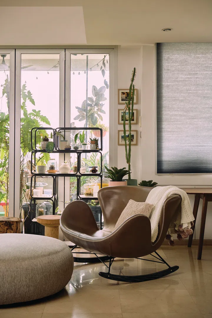 Some plants sit indoors instead to thrive.