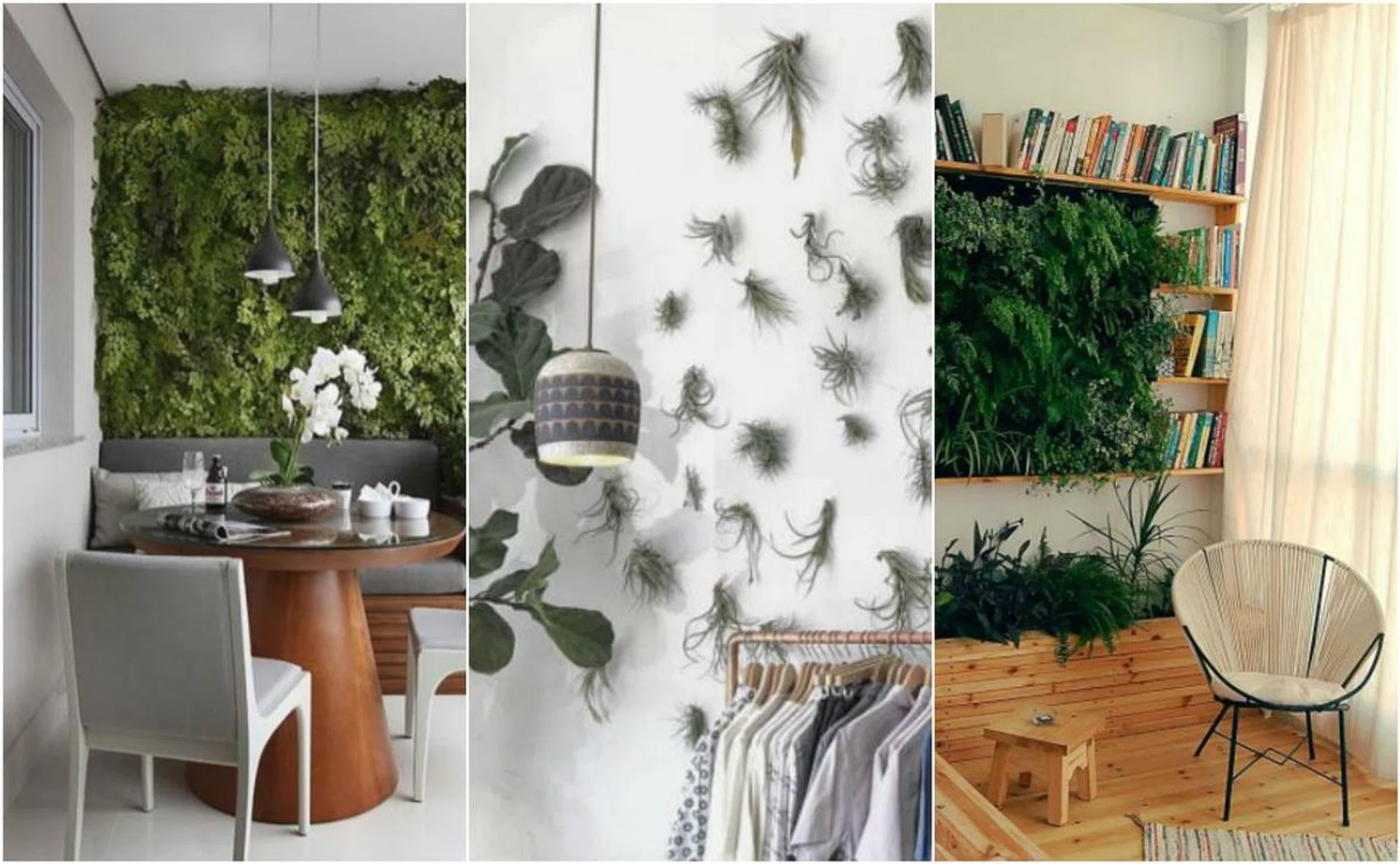 68166-design-ideas-green-wall