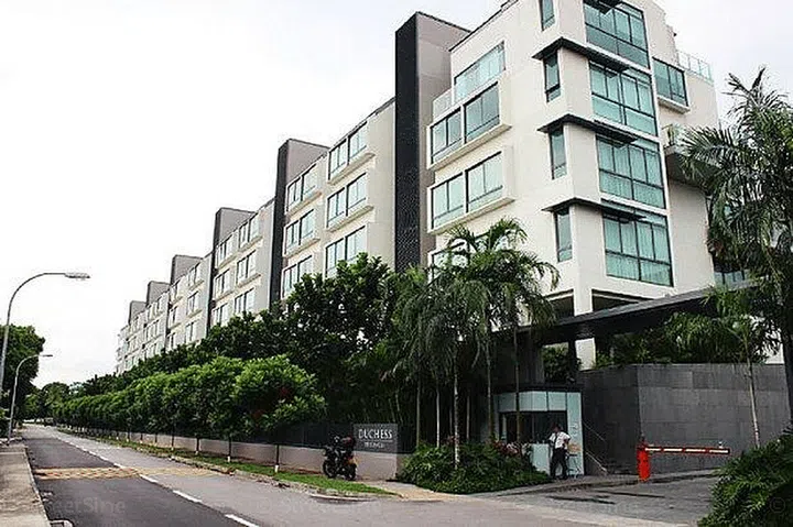 Duchess Manor Condo is a 11-minute or 750m walk from Nanyang Primary School. Image from SRX