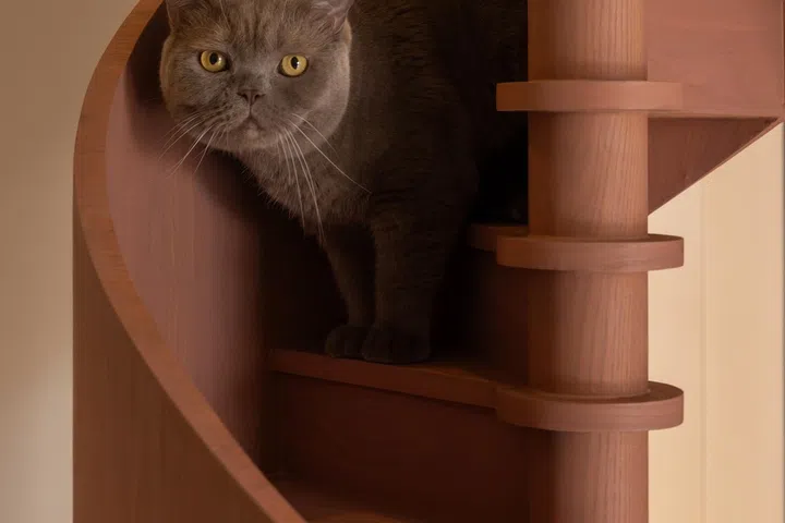 One of the most prominent features is the spiral staircase designed especially for the cats. 