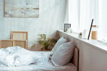 modern bedroom with cozy bed, pillows, blanket, pictures and plant