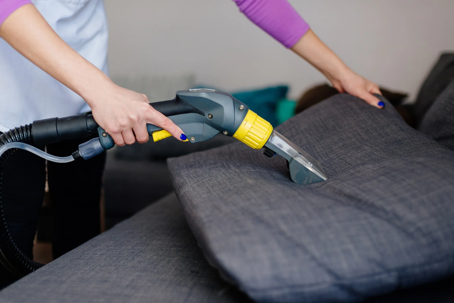 Young woman in apron washing sofa with vacuum washer.