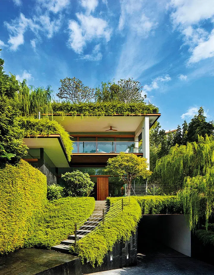 To accommodate the roof gardens, the house is built in layers. (Photo: Patrick Bingham-Hall)