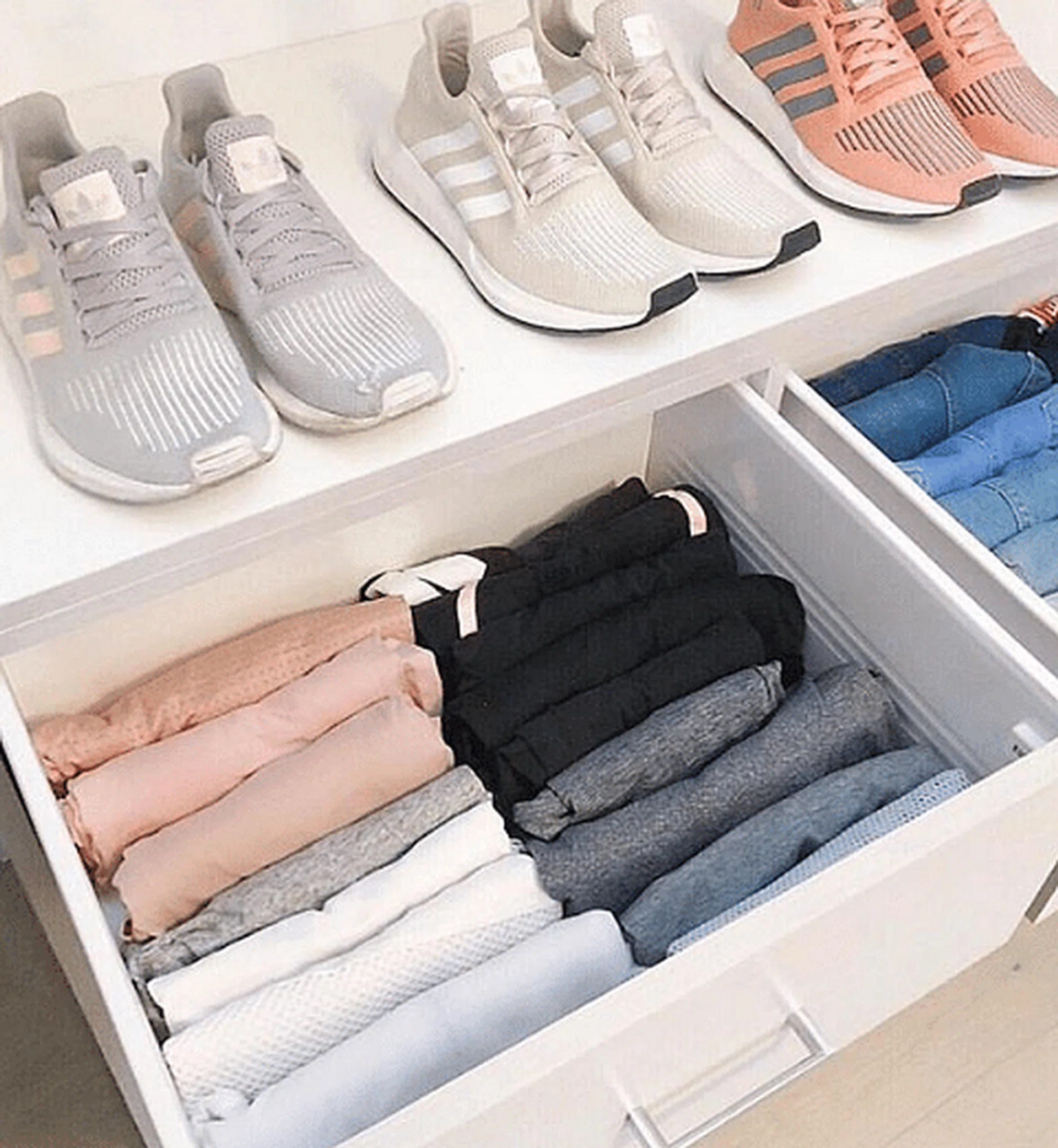 99124-screen-shot-2019-01-10-2-29-51-pm