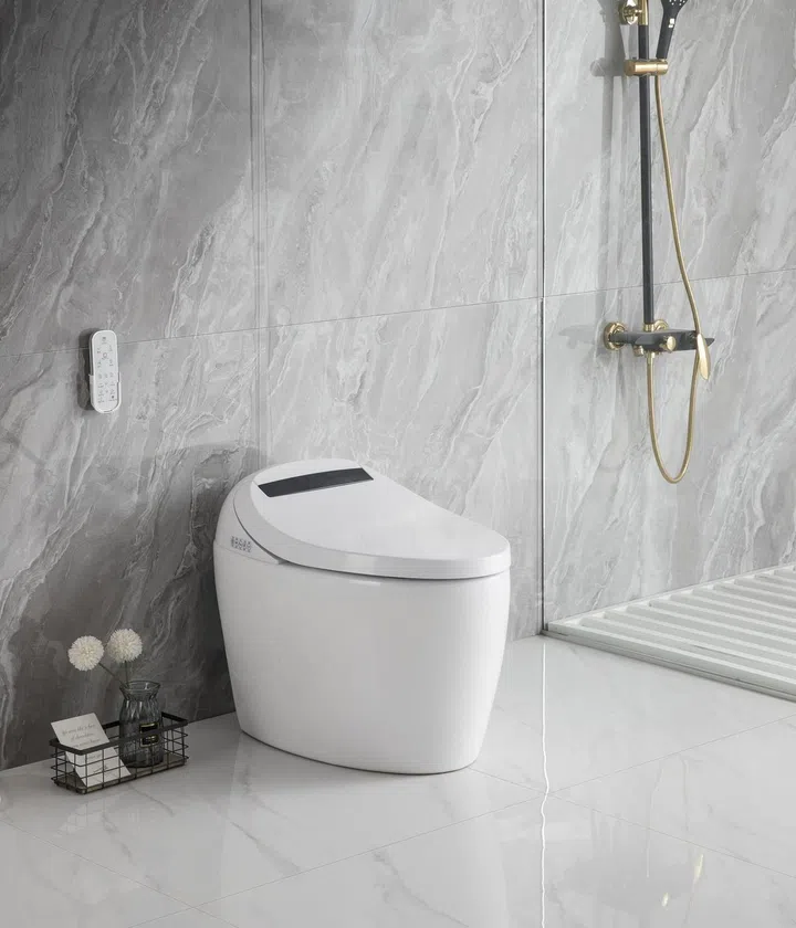 Starke Luxus Luxury Intelligent Toilet Bowl, $3,999