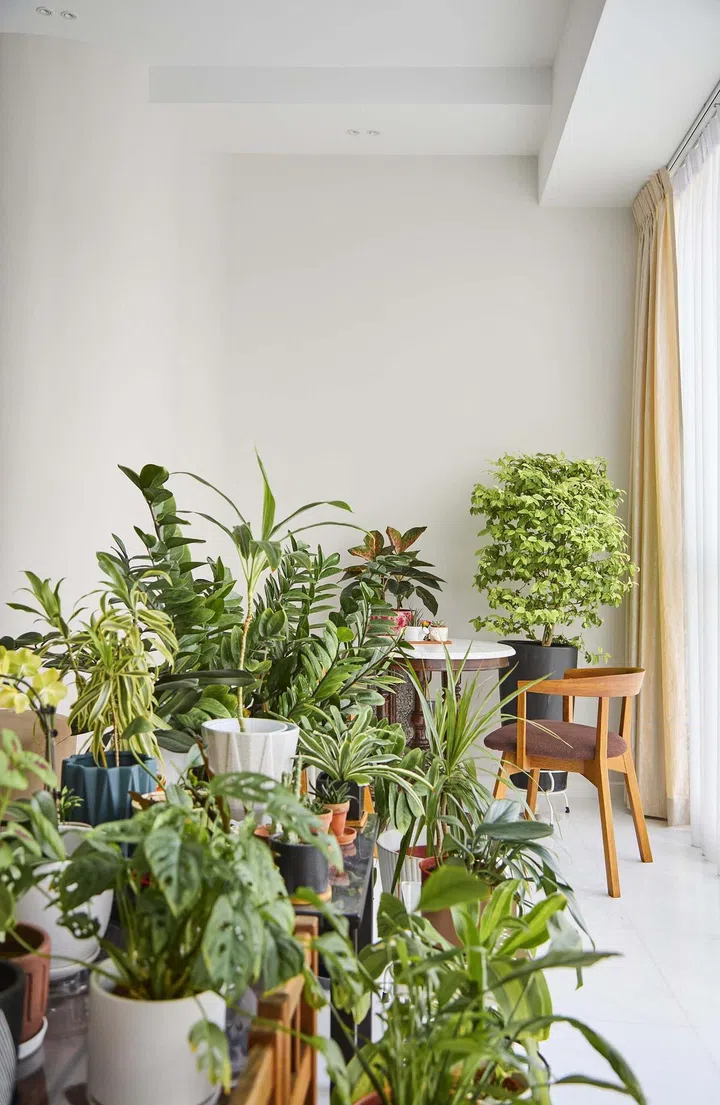 Indoor garden in this 1,550 sqft 3-bedroom condominium apartment in Keppel Bay. Interior design by Weiken.