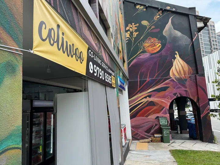 Vibrant wall mural on Coliwoo River Valley 268.