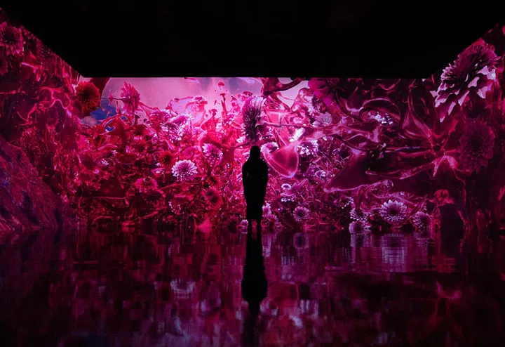 Pantone Colour of the Year 2023: Viva Magenta, The Rebellious Red (Photo Pantone)