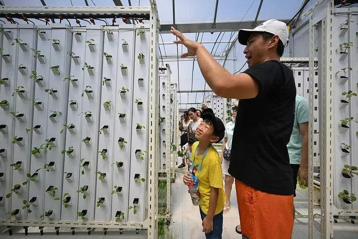 Visitors at Greenhood rooftop urban farm in Hougang