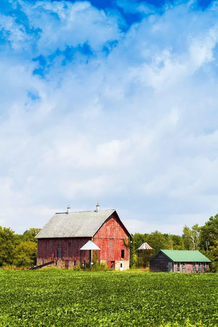 American Farmland With Blue Cloudy Sky. Image 123RF