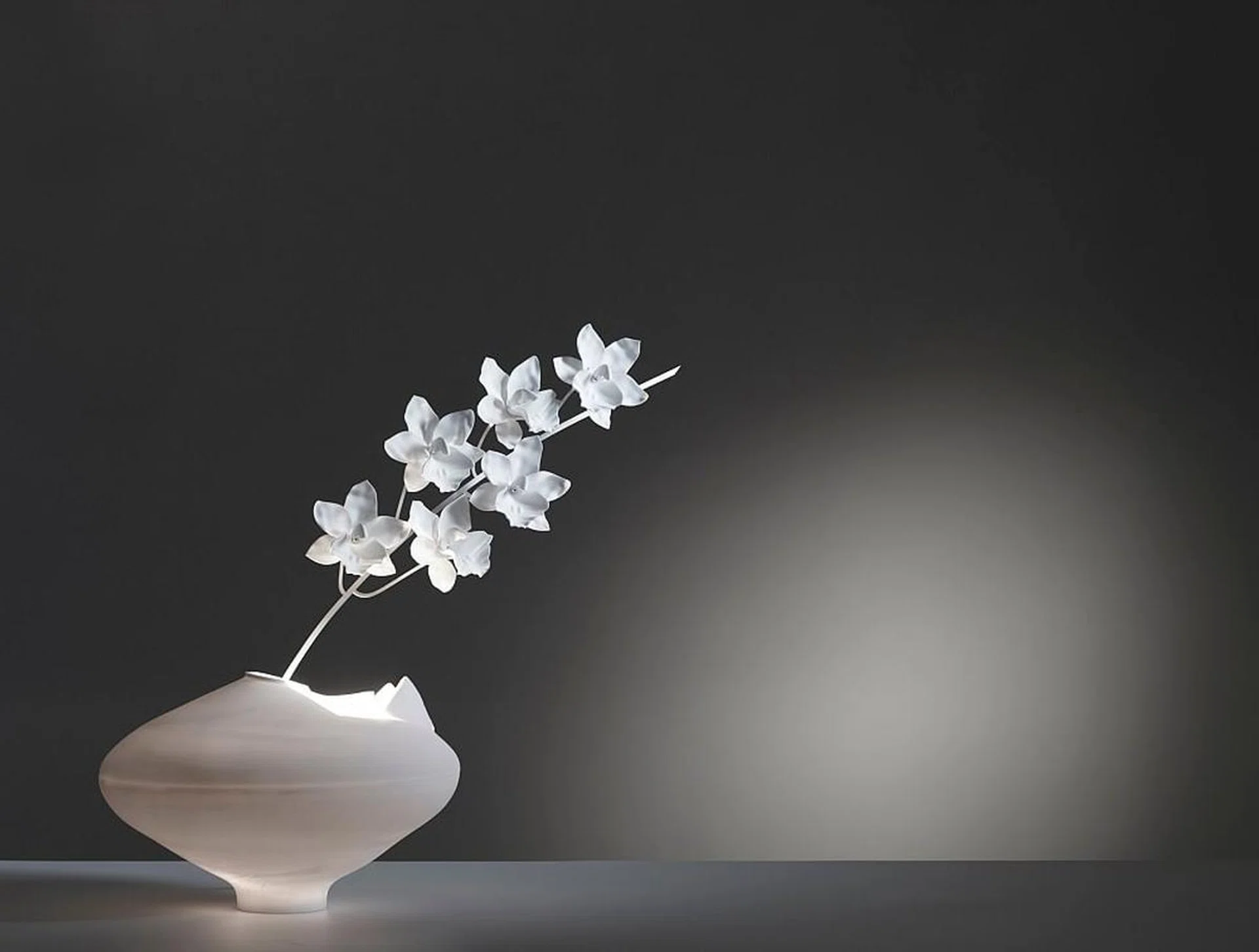 61753-cymbidium_ming_vase_on_beige_bg