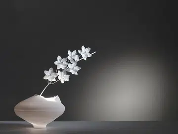 61753-cymbidium_ming_vase_on_beige_bg