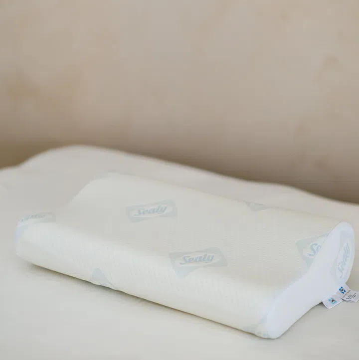Sealy Contour Memory Foam Pillow