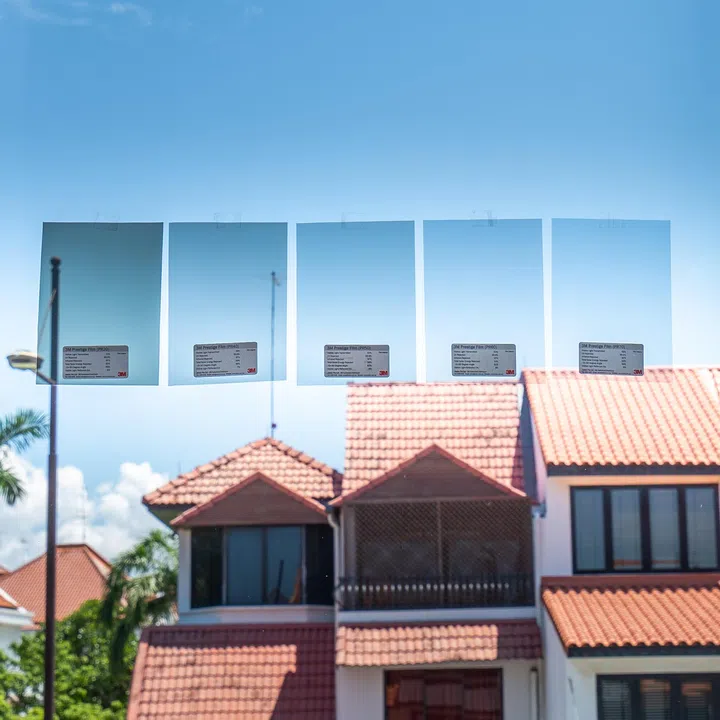 Different window films offer varying levels of heat rejection and light transmission, depending on the needs of the space.