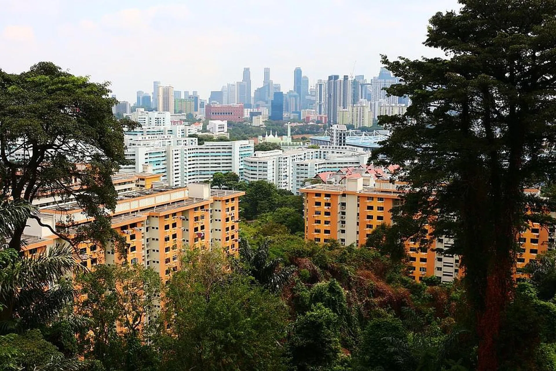 essential occupier vs co-owner of hdb pros and cons