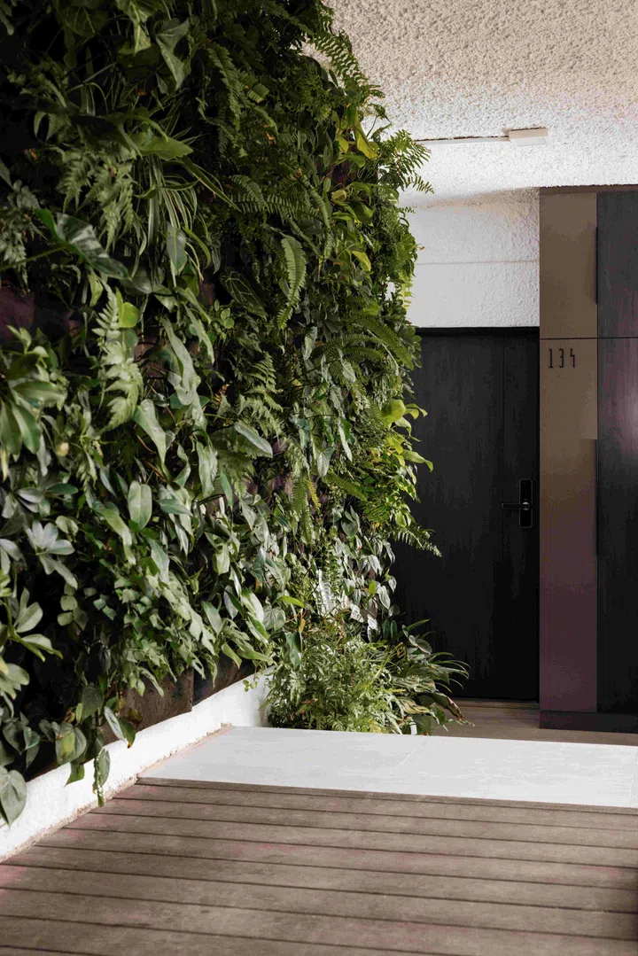 The external corridor area and wall outside the main entrance presented the opportunity for a green wall that the plant loving homeowner embraced.