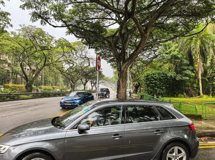Looking out onto Holland Road.