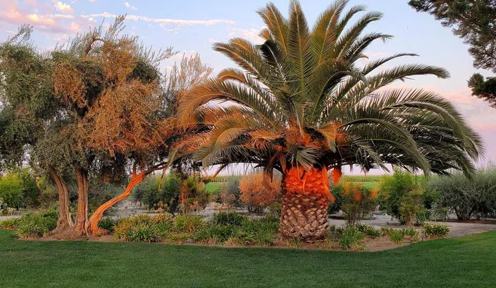 House Tour: A Frank Lloyd Wright House, Prairie Style, in California