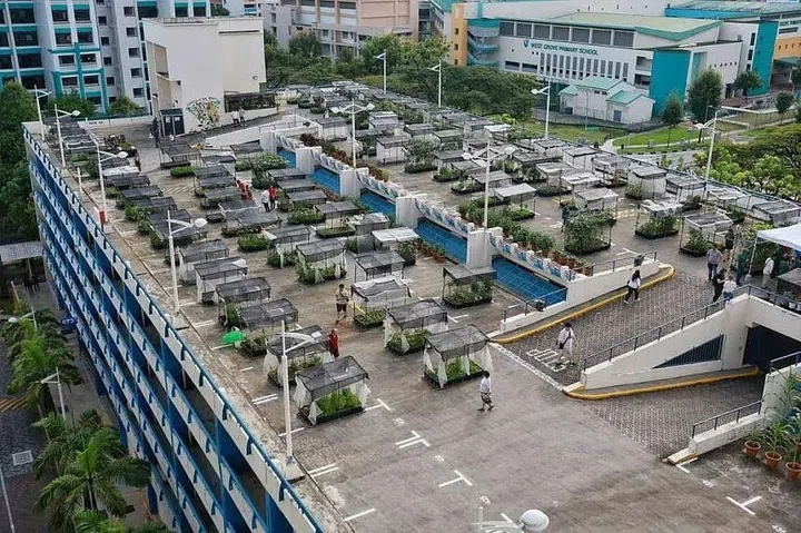Implementing green features such as rooftop greenery and urban farms will reduce energy consumption in HDB estates by a targeted 15 per cent by 2030. ST PHOTO: KEVIN LIM