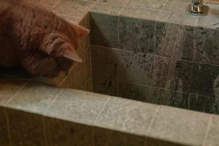 A custom mini bathtub clad in Sukabumi stone tiles makes a little spa for the cats.