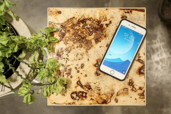 Mycelium mushroom kitchen countertop