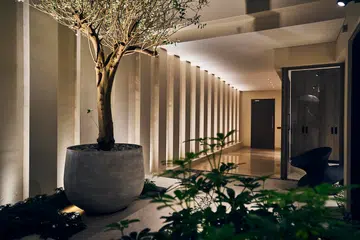  The entryway opens dramatically to a courtyard framed by vertical lines and a sculptural tree.