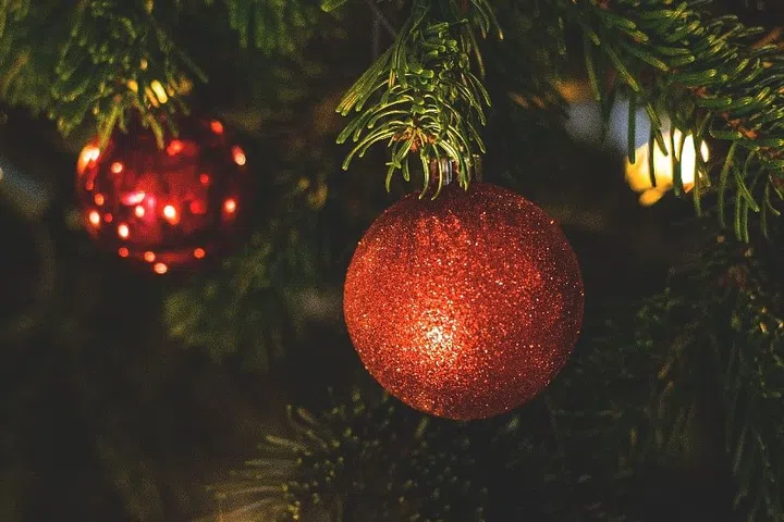 Closeup of red baubles on a Christmas tree