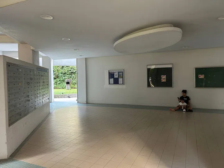 The old lift shafts were located at the communal ‘stem’ of the block before renovation.