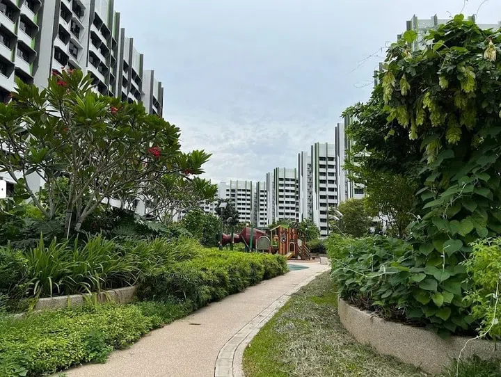 Bidadari Alkaff Oasis BTO garden and playground. Image from Google Maps.