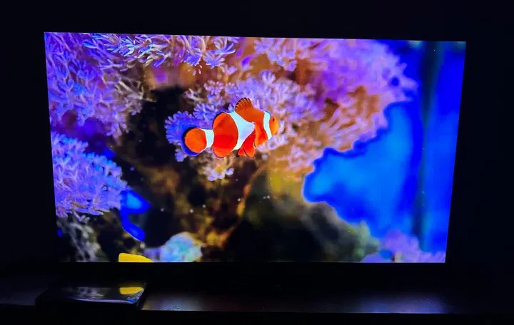 Nemo in 4K, but upscaled to 8K by the TV :)
