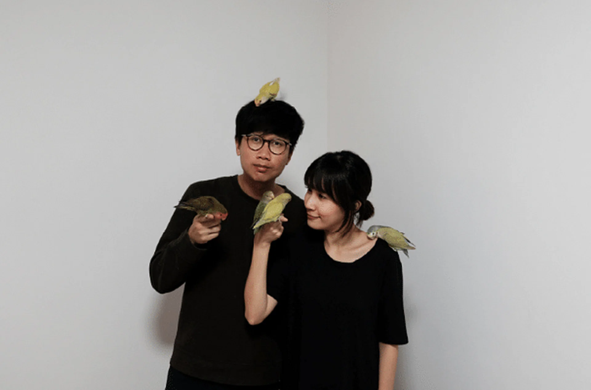 71744-living_with_birds