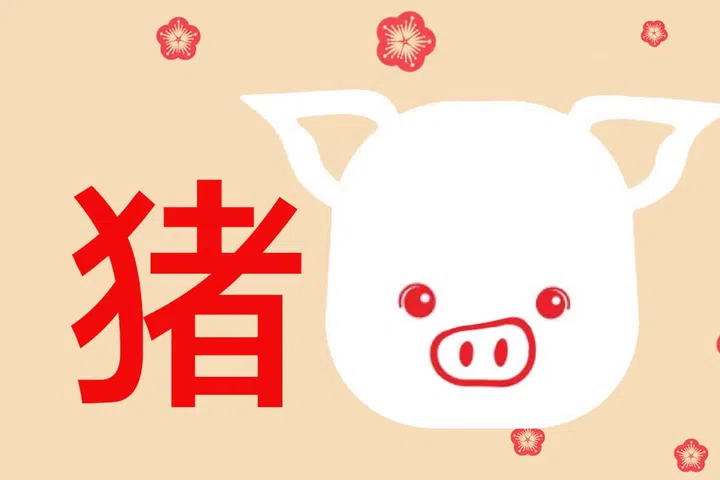 Pig Zodiac illustration for Chinese New Year 2025