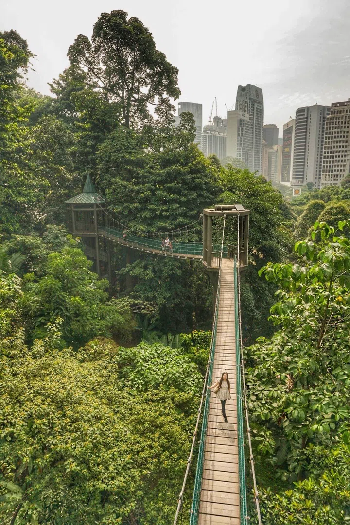 Photographed during a stroll through one of central KL’s parks in 2019.