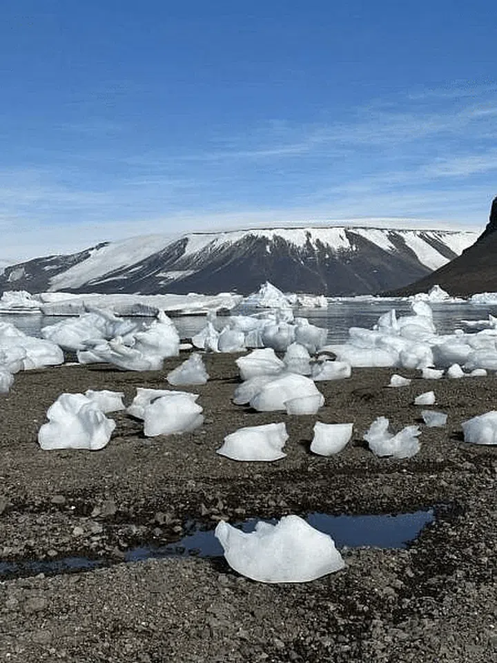 Sea ice is everywhere all at once. PHOTO: KENNY WONG