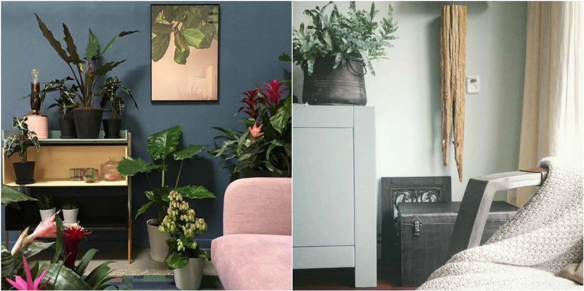 67816-greenery-inspiration