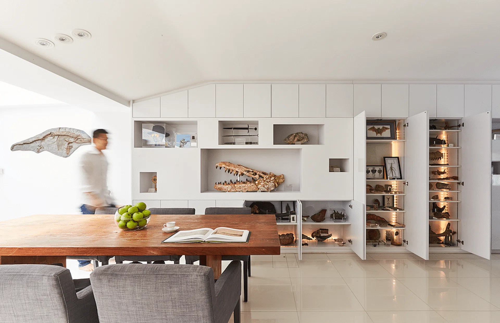 107657-fossil_collector_home_1