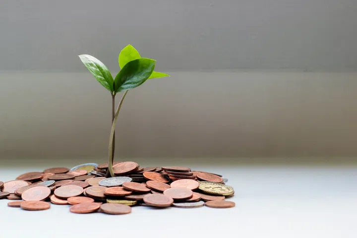Image of a young seedling planted in a pile of coins. Image Unsplash