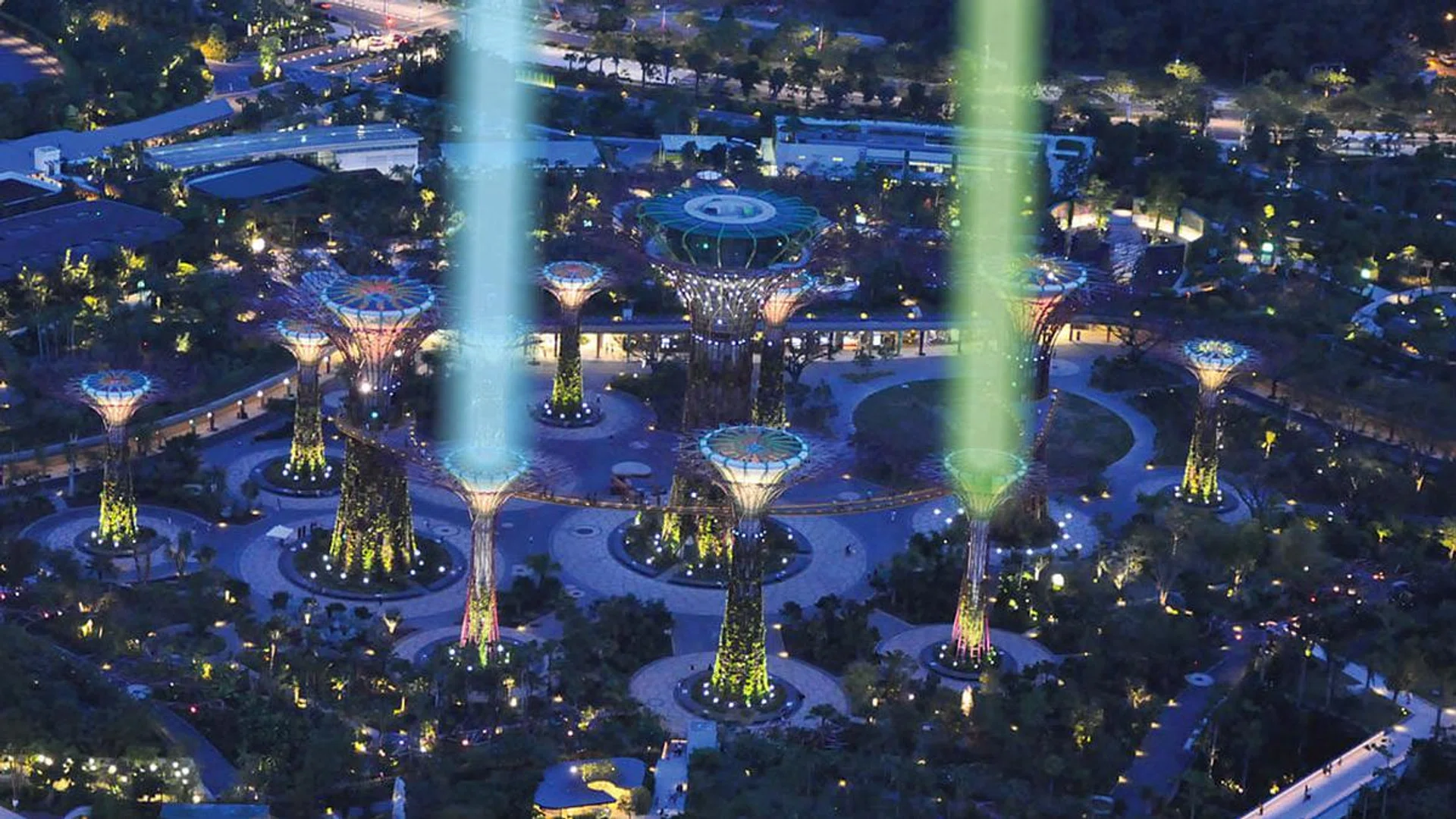 63028-festival-saber-tree