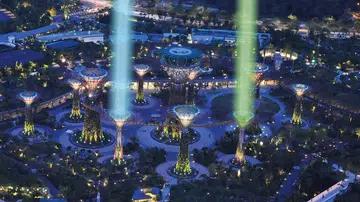 63028-festival-saber-tree