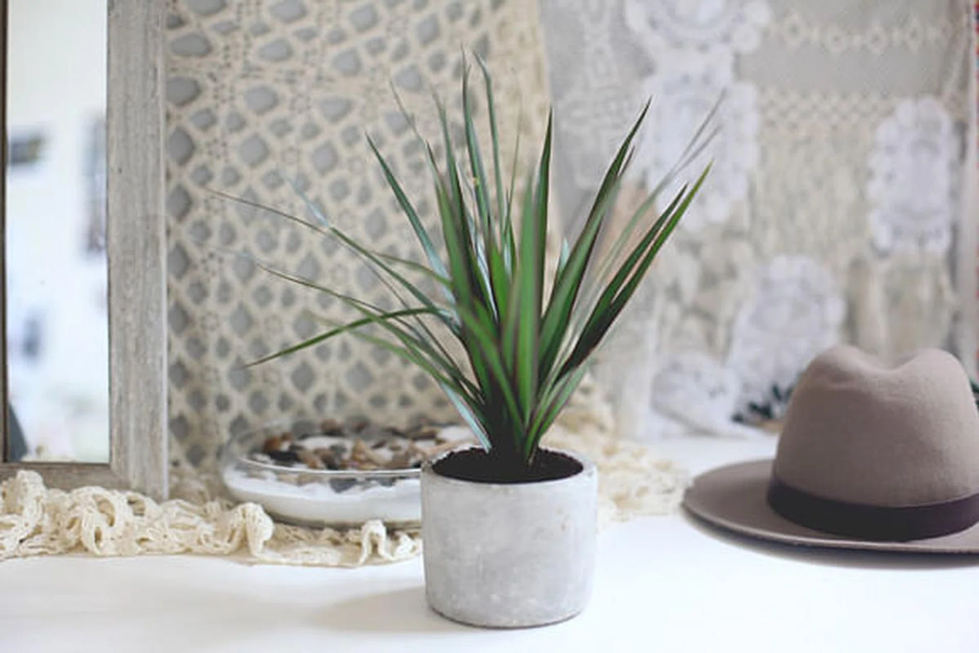 alternative_to_purifier_11