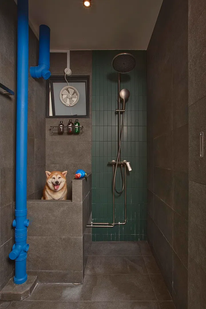 A part of the wet bathroom is solely for Ran Ran, where she has her very own wash station.