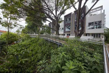 63803-condo_green_8