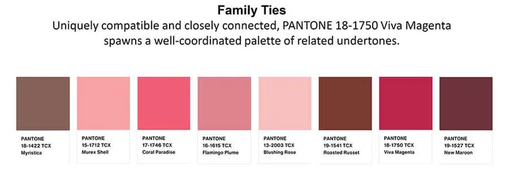 Pantone Colour of the Year 2023: Viva Magenta, The Rebellious Red (Photo Pantone)