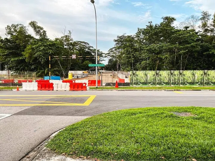 Forested area opposite the Loyang Villas landed property enclave. Image StackedHomes.